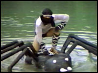 The infamous Ninja Water Spider