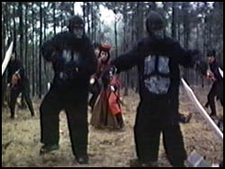 Kung Fu Gorillas